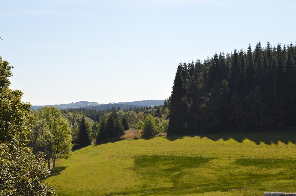 Logis Hotel Le Relais Du Bois Vialotte Le Chambon-sur-Lignon Eksteriør billede
